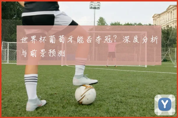 世界杯葡萄牙能否夺冠？深度分析与前景预测