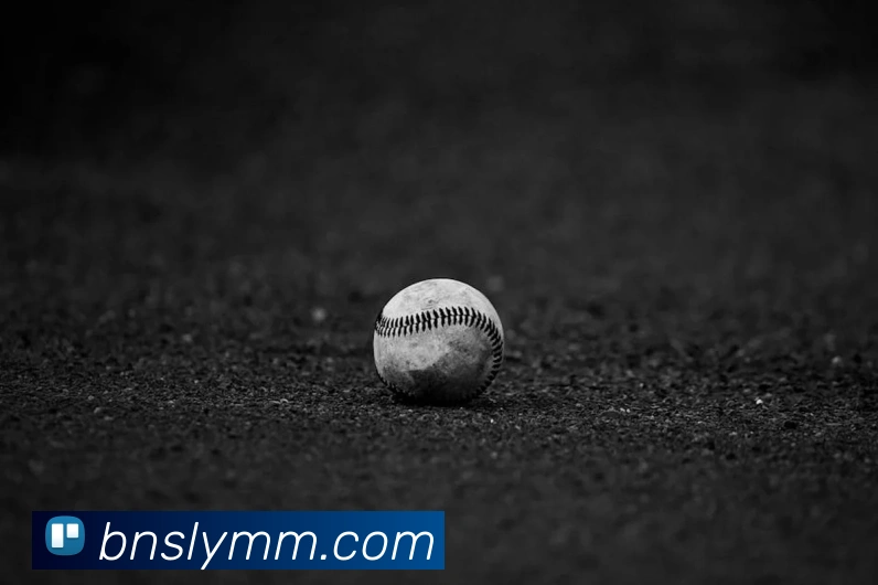 用户互动社区
